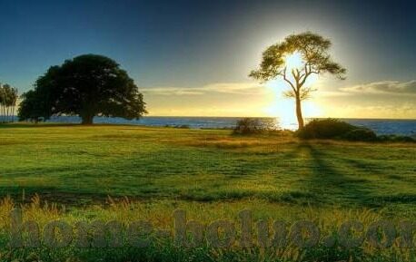 漂亮人妻被中出中文字幕-漂亮人妻的秘密花园，爱与尊重的微妙平衡
