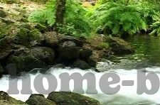 日本免费一区二区三区-探索日本网络文化中的一区二区三区现象