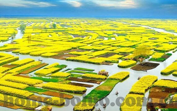糖心app苹果破解版-警惕与拒绝——关于糖心苹果应用风险的透明剖析
