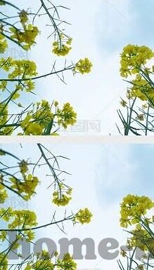 糖心app下载汅api下载-穿越数字迷雾，探秘APP应用的真实与虚拟