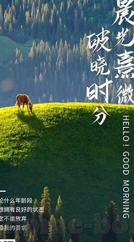 糖心vlog精产国品-糖心Vlog，精产国品的岁月华章