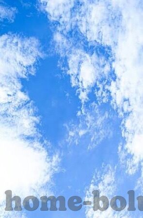 迅雷哥伦理片-迅雷哥与伦理片，网络时代的文化交汇与反思